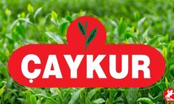 ÇAYKUR 1500 Mevsimlik İşçi Alımı Yapacak! Başvurular Başladı
