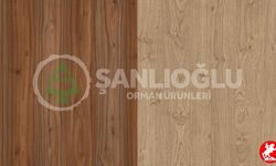 Projene Uyum Sağlayan Gentaş Laminatlar Neden Bu Kadar Tercih Ediliyor?