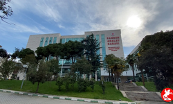 Samsun’da Tavuk Zehirlenmesi Vakası: 225 İşçi Taburcu Edildi