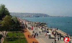 Samsun Kavak, Asarcık, Vezirköprü, Salıpazarı, Ayvacık, Çarşamba, Bafra, Alaçam Hangi İlçesi en Fazla Nüfusa Sahip?