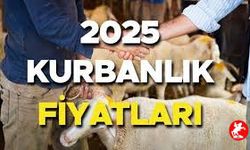 Kurban Fiyatları 2025 Bayram Öncesi Fiyatlar Netleşiyor