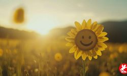 Serotonin Hormonu Nedir? Ne İşe Yarar?
