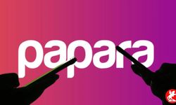 Papara Şirketi Ne İş Yapıyor? Papara Şirketine Ne Oldu?