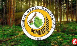 Orman Genel Müdürlüğü (OGM) işçi başvurusu tarihleri, şartları nelerdir?