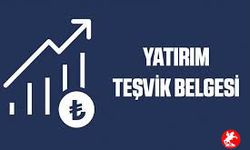 Yatırım Teşviklerinden Faydalanmak İçin Gerekli Belgeler
