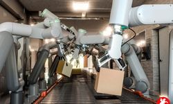 ZE-NO Robotlu Paletleme Sistemleriyle Üretimde Verimlilik Nasıl Artar?