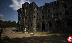127 Yıl Sonra Gelen Şaşırtan Karar: Büyükada Rum Yetimhanesi Turizme Açılıyor!