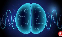 Düşünceleri Okuyan Yapay Zeka! Avustralyalı Bilim İnsanlarından Devrim Niteliğinde Buluş