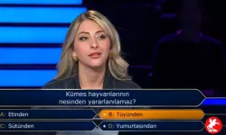 Canlı Yayında Oktay Kaynarca’dan Yarışmacıya Sitem: “Al Bu Jokerleri Eve Götür!”