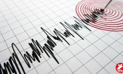 Türkiye’de Sarsıntılar Bitmiyor: Ege Denizi’nde 4.6 Büyüklüğünde Deprem Panik Yarattı!