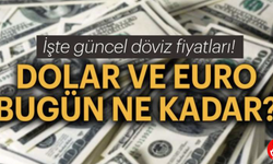 💰 Samsun'da Dövizde Bekleyiş Sürüyor! Dolar ve Euro Güne Hangi Seviyede Başladı?