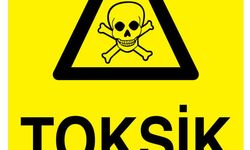 Toksik İnsan Nedir? Toksik İnsan Belirtileri Nelerdir?