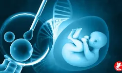 Dar Gelirli Ailelere Müjde! Ücretsiz Tüp Bebek Desteği Başlıyor