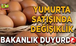 Yumurtada Yeni Dönem: Raf Ömrü Uzadı, Etiketler Değişti