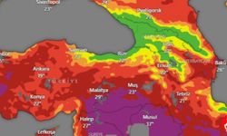 2025 Türkiye Yangın Riski Haritası Açıklandı: Güneydoğu Alarm Veriyor