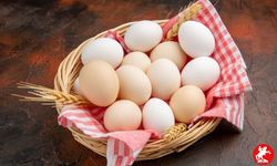 Yumurtalar Artık Farklı Satılacak! Yeni Düzenleme İle Ne Değişti?