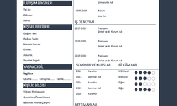 CV’nizi Etkileyici Hale Getirmenin 3 Püf Noktası