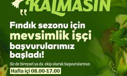 FINDIK DALDA, AKLIN İŞÇİDE KALMASIN” BAŞVURULAR BAŞLADI