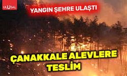 Çanakkale’de Orman Yangını Korkuttu: Villalar ve Evler Alevlere Teslim Oldu