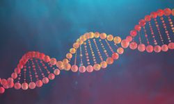 Bilim İnsanları DNA’yı Baştan Yaratmayı Başardı: Sentetik Bakteri Syn57