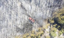 Bolu, Çanakkale ve İzmir’deki Orman Yangınları Kontrol Altında