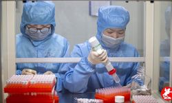 Çin'de Chikungunya Virüsü Alarmı: Vaka Sayısı 7 Bini Geçti, Tehlike Devam Ediyor!