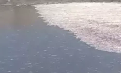 Hatay'da Su Seviyesi Düşerken Balıklar Ölümle Yüzleşiyor!