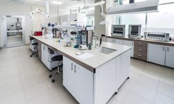 İşte Laboratuvarda Gerçek İnsan Derisi Modeli! Tıp Dünyasında Çığır Açan Gelişim