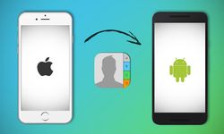Rehberinizi Kaybetmekten Korkmayın! Android ve iOS’ta Rehber Yedekleme Yöntemleri