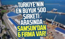 Samsun’un En Büyük Firmaları: Şehrin Ekonomik Gücü