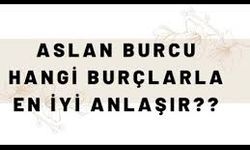 Aslan Burcunun En İyi Anlaştığı Burçlar: Kimlerle Daha Uyumlu?