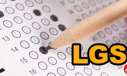 LGS'de 500 Tam Puan Alan Öğrenciler Hangi Okullara Yerleşti? Rekor Kırıldı, Ancak...!