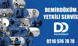 Demirdöküm Yetkili Servisi: Kışa Hazırlıkta En Güvenilir Adres