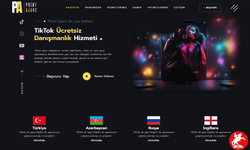 🏆 Point Ajans Örnek Web Sitesi ile Zirveye Çıktı