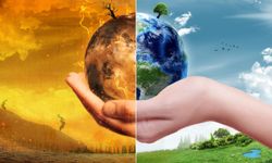 2025 Yazında Aşırı Sıcaklar: Küresel Isınma Artık Herkesin Sorunu
