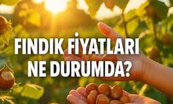 Fındık Fiyatlarında Güncel Durum: 5 Eylül 2025 Rakamları Açıklandı