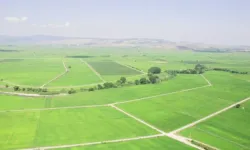 Tarımda Yeni Dönem Başlıyor: İşlenmeyen Arazi Kiralamaları Kasım’da Başlıyor!
