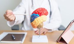 Alzheimer ve Demansın Erken Belirtisi Ortaya Çıktı: Koku Kaybı Şaşırtan Bir İpucu Veriyor!