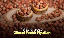 18 Eylül 2025 Güncel Fındık Fiyatları: Ordu, Giresun ve Samsun’da Durum Ne?