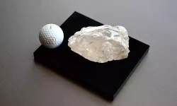 Dünyanın En Büyük İkinci Elması Rekor Fiyatla Satışta!
