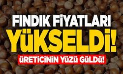 Fındık Fiyatlarında Yükseliş: Karadeniz Üreticisinin Yüzü Gülüyor