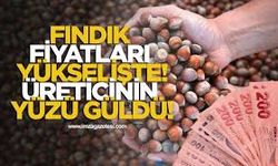 Fındık Fiyatlarında Yükseliş Yüzleri Güldürüyor! Üretici 400 Lirayı Bekliyor
