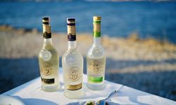 Efe Rakı Grubu & Sarı Zeybek Rakı Fiyatı Listesi 2026