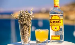 Gordon's Gin Fiyatları: Güncel Liste