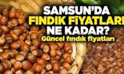 3 Ekim 2025 Fındık Fiyatları: Samsun’da Durum Ne?