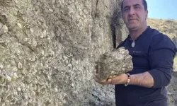 200 Milyon Yıl Önceye Ait Fosil Keşfi Erzurum'un Ekonomisini Şekillendirebilir!