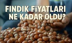 Samsun'da Güncel Fındık Fiyatları 6 Ekim 2025: Karadeniz’de Hafif Yükseliş