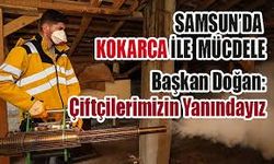 Samsun Büyükşehir Belediyesi’nden Kahverengi Kokarcaya Karşı Yoğun Mücadele