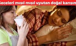 Doğal Uyku Veren Karışımları: Daha Huzurlu Geceler İçin Öneriler