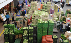 Demre Hal Fiyatları ve Güncel Piyasa Durumu